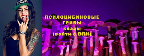 2c-b Белокуриха