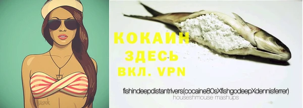 PSILOCYBIN Беломорск