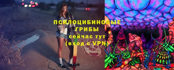 2c-b Белокуриха