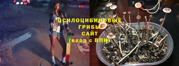 2c-b Белокуриха