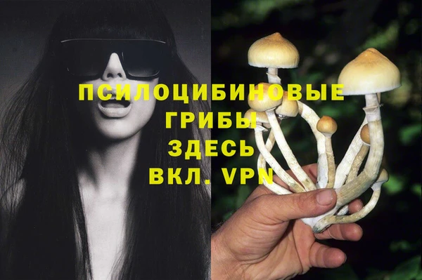 2c-b Белокуриха