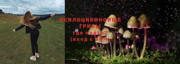 PSILOCYBIN Беломорск